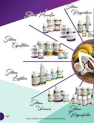 Sistema Muscular
Sistema
Respiratorio
Sistema
Esquelético
Sistema
Linfático
Sistema
Urinario Sistema
Reproductor
Sistema Muscular
ESTOS PRODUCTOS NO SON MEDICAMENTOS.
41
 