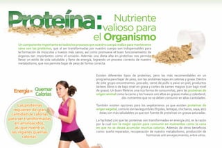 Nutriente
                                                            valioso para
                                                          el Organismo
     Un componente importante en todos los procesos que nuestro cuerpo realiza para mantenerse
     sano son las proteínas, que al ser transformadas por nuestro cuerpo son indispensables para
     la formación de músculos y huesos más sanos, así como promueve el buen funcionamiento de
     órganos tan importantes como el corazón. Además una dieta alta en proteínas nos permite
     llevar un estilo de vida saludable y lleno de energía, logrando un proceso correcto de nuestro
     metabolismo, que nos permite bajar de peso de forma correcta.


                                                            Existen diferentes tipos de proteínas, pero las más recomendables en un
                                                            programa para bajar de peso, son las proteínas bajas en calorías y grasa. Dentro
                                                            de este grupo encontramos: pescado, carne de pollo o pavo sin piel, productos
                                                            lácteos libres o de bajo nivel en grasa y cortes de carnes magras (con bajo nivel
                                                            de grasa). Un buen filete es una rica forma de consumirlas, pero las proteínas de
                                                            origen animal como la carne y los huevos son altas en grasas malas y colesterol,
                                                                               dos nutrientes que no se deben consumir en altas cantidades.

     Las proteínas                                          También existen opciones para los vegetarianos ya que existen proteínas de
  requieren de gran                                         origen vegetal, como lo son las legumbres (frijoles, lentejas, chicharos, soya, etc)
                                                              éstas son más saludables ya que son fuente de proteínas sin grasas saturadas.
 cantidad de calorías
para ser transformadas                                      La facilidad con que las proteínas son transformadas en energía útil, es la razón
   en aminoácidos,                                          por la cual son la mejor opción para consumir en momentos como la cena
   así que mientras                                         en que no se desea acumular muchas calorías. Además de otros beneficios
 las ingieres quemas                                        como: sueño reparador, recuperación de nuestro metabolismo, producción de
                                                                                                 hormonas anti envejecimiento, entre otros.
        calorías.
 
