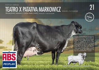 Noite de Gala Santa Luzia