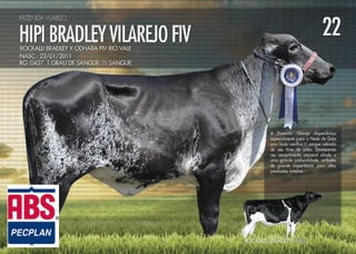 Noite de Gala Santa Luzia