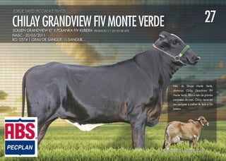 Noite de Gala Santa Luzia