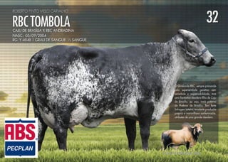 Noite de Gala Santa Luzia