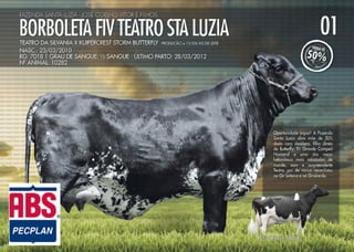 Noite de Gala Santa Luzia