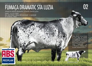 Noite de Gala Santa Luzia