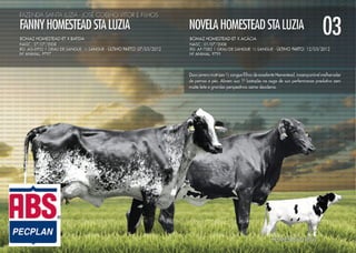 Noite de Gala Santa Luzia