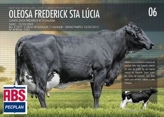 Noite de Gala Santa Luzia