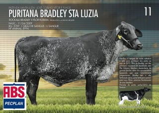 Noite de Gala Santa Luzia