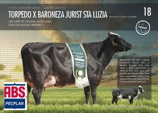 Noite de Gala Santa Luzia