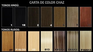 Catalogo agosto 2019