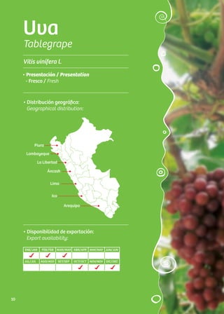 Uva
Tablegrape
Vitis vinífera l.
• Distribución geográfica:
Geographical distribution:
La Libertad
Áncash
Lima
Lambayeque
Piura
Arequipa
Ica
• Presentación / Presentation
- Fresco / Fresh
ENE/JAN FEB/FEB MAR/MAR ABR/APR MAY/MAY JUN/JUN
JUL/JUL AGO/AGO SET/SEP OCT/OCT NOV/NOV DIC/DEC
• Disponibilidad de exportación:
Export availability:
10
 