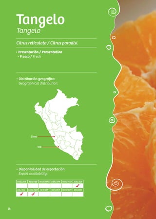 Tangelo
Tangelo
Citrus reticulata / Citrus paradisi.
• Distribución geográfica:
Geographical distribution:
• Presentación / Presentation
- Fresco / Fresh
• Disponibilidad de exportación:
Export availability:
Lima
Ica
ENE/JAN FEB/FEB MAR/MAR ABR/APR MAY/MAY JUN/JUN
JUL/JUL AGO/AGO SET/SEP OCT/OCT NOV/NOV DIC/DEC
18
 