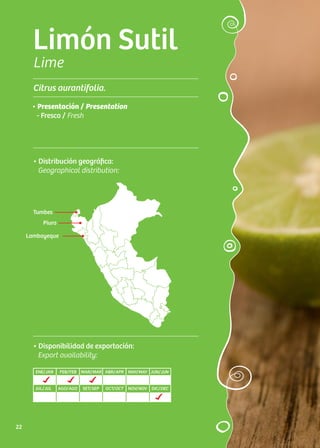 Limón Sutil
Lime
Citrus aurantifolia.
• Distribución geográfica:
Geographical distribution:
• Presentación / Presentation
- Fresco / Fresh
• Disponibilidad de exportación:
Export availability:
Piura
Tumbes
Lambayeque
ENE/JAN FEB/FEB MAR/MAR ABR/APR MAY/MAY JUN/JUN
JUL/JUL AGO/AGO SET/SEP OCT/OCT NOV/NOV DIC/DEC
22
 