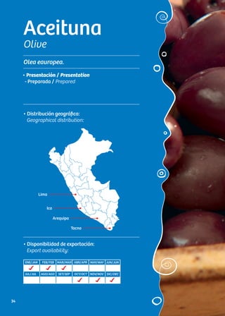 Aceituna
Olive
Olea eauropea.
• Distribución geográfica:
Geographical distribution:
• Presentación / Presentation
- Preparada / Prepared
• Disponibilidad de exportación:
Export availability:
ENE/JAN FEB/FEB MAR/MAR ABR/APR MAY/MAY JUN/JUN
JUL/JUL AGO/AGO SET/SEP OCT/OCT NOV/NOV DIC/DEC
Lima
Ica
Arequipa
Tacna
34
 
