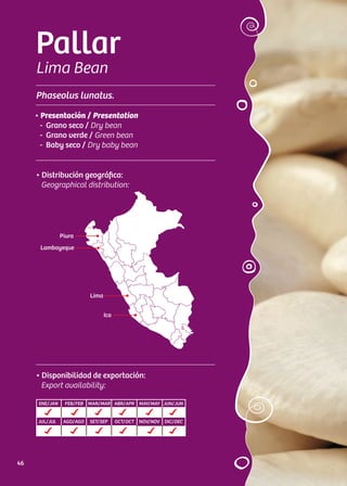 Pallar
Lima Bean
Phaseolus lunatus.
• Distribución geográfica:
Geographical distribution:
• Presentación / Presentation
- Grano seco / Dry bean
- Grano verde / Green bean
- Baby seco / Dry baby bean
• Disponibilidad de exportación:
Export availability:
ENE/JAN FEB/FEB MAR/MAR ABR/APR MAY/MAY JUN/JUN
JUL/JUL AGO/AGO SET/SEP OCT/OCT NOV/NOV DIC/DEC
Piura
Lima
Ica
Lambayeque
46
 
