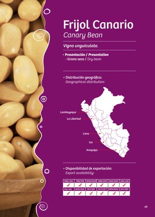 Frijol Canario
Canary Bean
Vigna unguiculata.
• Distribución geográfica:
Geographical distribution:
• Disponibilidad de exportación:
Export availability:
ENE/JAN FEB/FEB MAR/MAR ABR/APR MAY/MAY JUN/JUN
JUL/JUL AGO/AGO SET/SEP OCT/OCT NOV/NOV DIC/DEC
• Presentación / Presentation
- Grano seco / Dry bean
La Libertad
Lima
Ica
Arequipa
Lambayeque
49
 