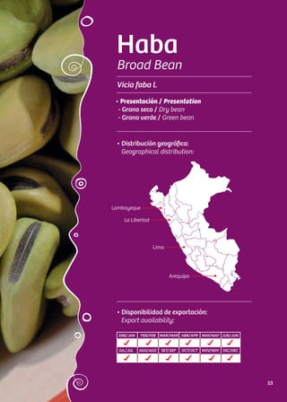 Haba
Broad Bean
Vicia faba l.
• Distribución geográfica:
Geographical distribution:
• Disponibilidad de exportación:
Export availability:
ENE/JAN FEB/FEB MAR/MAR ABR/APR MAY/MAY JUN/JUN
JUL/JUL AGO/AGO SET/SEP OCT/OCT NOV/NOV DIC/DEC
• Presentación / Presentation
- Grano seco / Dry bean
- Grano verde / Green bean
La Libertad
Lima
Arequipa
Lambayeque
53
 