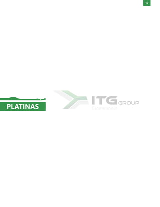 17
PLATINAS
 