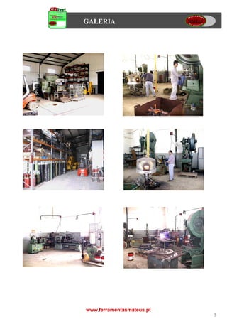 GALERIA




www.ferramentasmateus.pt
                           3
 