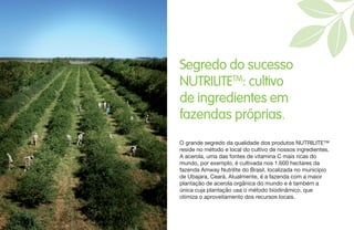 O grande segredo da qualidade dos produtos NUTRILITE™
reside no método e local do cultivo de nossos ingredientes.
A acerola, uma das fontes de vitamina C mais ricas do
mundo, por exemplo, é cultivada nos 1.600 hectares da
fazenda Amway Nutrilite do Brasil, localizada no município
de Ubajara, Ceará. Atualmente, é a fazenda com a maior
plantação de acerola orgânica do mundo e é também a
única cuja plantação usa o método biodinâmico, que
otimiza o aproveitamento dos recursos locais.
Segredo do sucesso
NUTRILITETM
: cultivo
de ingredientes em
fazendas próprias.
 