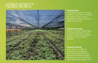 FAZENDASNUTRILITE™
Fazenda El Petecal:
Com mais de 5 milhões m2
certificados como orgânicos,
esta fazenda mexicana produz
alguns dos nutrientes utilizados
nos produtos da linha Nutrilite™,
como, por exemplo, agrião e limão.
Fazenda Brasil:
A Amway faz questão de investir
no Brasil. Prova disto é a fazenda
em Ubajara, Ceará, a maior
fazenda de produção de acerola
orgânica do mundo.
Fazenda Trout Lake:
Situada no estado de Washington,
é uma das fazendas com maior
número de certificados orgânicos
de ervas de toda a América
do Norte.
 