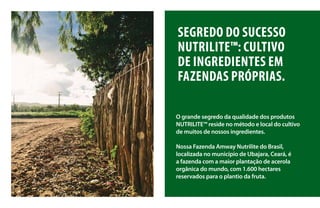 SEGREDO DO SUCESSO
NUTRILITE™: CULTIVO
DE INGREDIENTES EM
FAZENDAS PRÓPRIAS.
O grande segredo da qualidade dos produtos
NUTRILITE™ reside no método e local do cultivo
de muitos de nossos ingredientes.
Nossa Fazenda Amway Nutrilite do Brasil,
localizada no município de Ubajara, Ceará, é
a fazenda com a maior plantação de acerola
orgânica do mundo, com 1.600 hectares
reservados para o plantio da fruta.
 