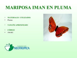 MARIPOSA IMAN EN PLUMA
• MATERIALES UTILIZADOS
• Plumas
• TAMAÑO APROXIMADO
• CÓDIGO
• 194-001
 