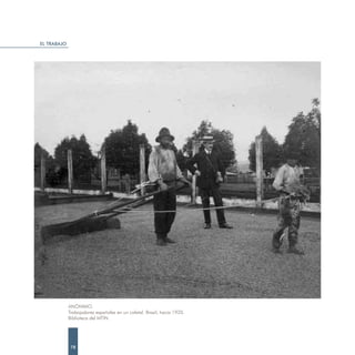EL TRABAJO




             ANÓNIMO.
             Trabajadores españoles en un cafetal. Brasil, hacia 1920.
             Biblioteca del MTIN.




              78
 