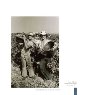 Ángel GOMEZ.
                                            Jóvenes vendimiadores
                                                en Francia. 1977.


MEMORIA GRÁFICA DE LA EMIGRACIÓN ESPAÑOLA

                                                             81
 