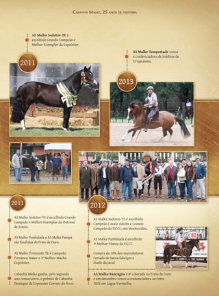 Cabanha Malke, 25 anos de história




           AS Malke Sedutor-TE é
           escolhido Grande Campeão e
           Melhor Exemplar da Expointer.
                                                                        AS Malke Tempestade vence
                                                                        a credenciadora de inéditos de

   2011                                                                 Uruguaiana.




                                                               2013




2011                                           2012
AS Malke Sedutor-TE é escolhido Grande          AS Malke Sedutor-TE é escolhido
Campeão e Melhor Exemplar da Outonal            Campeão Cavalo Adulto e Grande
de Esteio.                                      Campeão da FICCC, em Montevidéu.

AS Malke Punhalada e AS Malke Pampa             AS Malke Punhalada é escolhida
são finalistas do Freio de Ouro.                3ª Melhor Fêmea da FICCC.

AS Malke Tormento TE é Campeão                  Compra de 10% dos reprodutores
Potranco Maior e 3º Melhor Macho                Feriado de Santa Edwiges e
Expointer.                                      Duelo da Jacuí


Cabanha Malke ganha, pelo segundo               AS Malke Rancagua é 8ª colocada no Freio de Ouro
ano consecutivo, o prêmio de Cabanha            e em dezembro vence a credenciadora ao Freio
Destaque da Expointer Correio do Povo.          2013 em Lagoa Vermelha.
 