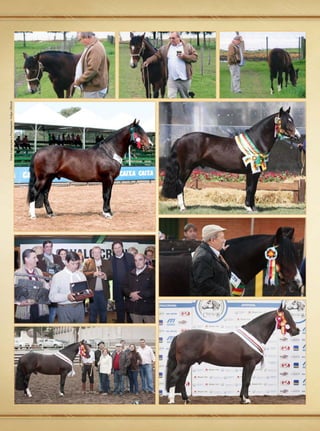 Fotos Exposições e Premiações: Felipe Ulbrich
 