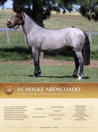 09               AS MALKE ABENÇOADO
                   SBB: B369113 | RP: 986 | ROSILHA | Macho | 07/10/2011




                                                                                              TREN TREN ARREBOL
Faz jus ao nome! Pedigree fantástico!                           LA INVERNADA HORNERO
                                                                                               ACULEO NUTRIA II
Traz estampada a genética de AS            BT HOSPEDEIRO
Malke Opinião, em sua linha materna,                                                          SANTA ELBA TACANO
                                                                    BT CAMPESINA
aliada a função incontestável do                                                                 BT PAMPEANA
multifinalista do Freio de Ouro BT                                                            TAÑIDO REDOBLADO
                                                              VAGALUME DE SANTA EDWIGES
Hospedeiro, avô materno da ganhadora                                                      LUA CHEIA DE SANTA EDWIGES
                                        AS MALKE QUANTIDADE
da Credenciadora de Inéditos de Balsa                                                             BT JURADO
Nova 2012, Divisa de los Campos.                                    AS MALKE LUNA
                                                                                             BT GAJETA DO JUNCO




                                                   Cabanha Malke - 25 Anos
 