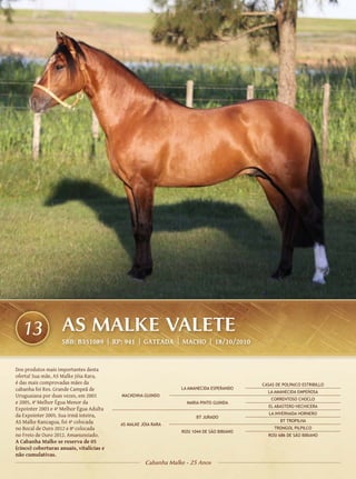13                AS MALKE VALETE
                    SBB: B351089 | RP: 941 | GATEADA | Macho | 18/10/2010


Dos produtos mais importantes desta
oferta! Sua mãe, AS Malke Jóia Rara,
é das mais comprovadas mães da                                                             CASAS DE POLPAICO ESTRIBILLO
cabanha foi Res. Grande Campeã de                               LA AMANECIDA ESPERANDO
                                                                                             LA AMANECIDA EMPEÑOSA
Uruguaiana por duas vezes, em 2003        MACKENNA GUINDO
                                                                                               CORRENTOSO CHOCLO
e 2005, 4ª Melhor Égua Menor da                                   MARIA PINTO GUINDA
                                                                                             EL ABASTERO HECHICERA
Expointer 2003 e 4ª Melhor Égua Adulta
da Expointer 2005. Sua irmã inteira,                                                          LA INVERNADA HORNERO
                                                                      BT JURADO
AS Malke Rancagua, foi 4ª colocada        AS MALKE JÓIA RARA
                                                                                                   BT TROPILHA
no Bocal de Ouro 2012 e 8ª colocada                                                             TRONGOL PILPILCO
                                                                ROSI 1044 DE SÃO BIBIANO
no Freio de Ouro 2012. Amanunsiado.                                                          ROSI 686 DE SÃO BIBIANO
A Cabanha Malke se reserva de 05
(cinco) coberturas anuais, vitalícias e
não cumulativas.
                                                    Cabanha Malke - 25 Anos
 