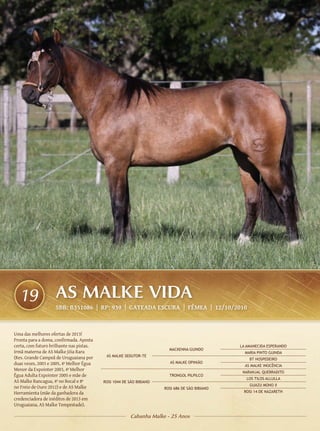 19                AS MALKE VIDA
                    SBB: B351086 | RP: 939 | GATEADA ESCURA | FÊMEA | 12/10/2010



Uma das melhores ofertas de 2013!
Pronta para a doma, confirmada. Aposta
certa, com futuro brilhante nas pistas.                                                        LA AMANECIDA ESPERANDO
                                                                       MACKENNA GUINDO
Irmã materna de AS Malke Jóia Rara                                                               MARIA PINTO GUINDA
(Res. Grande Campeã de Uruguaiana por      AS MALKE SEDUTOR-TE
                                                                                                   BT HOSPEDEIRO
duas vezes, 2003 e 2005, 4ª Melhor Égua                                 AS MALKE OPINIÃO
                                                                                                 AS MALKE INOCÊNCIA
Menor da Expointer 2003, 4ª Melhor
                                                                                                NARANJAL QUEBRADITO
Égua Adulta Expointer 2005 e mãe de                                    TRONGOL PILPILCO
                                                                                                  LOS TILOS ALLULLA
AS Malke Rancagua, 4ª no Bocal e 8ª       ROSI 1044 DE SÃO BIBIANO
                                                                                                   GUAZU MONO II
no Freio de Ouro 2012) e de AS Malke                                 ROSI 686 DE SÃO BIBIANO
Herramienta (mãe da ganhadora da                                                                ROSI 14 DE NAZARETH
credenciadora de inéditos de 2013 em
Uruguaiana, AS Malke Tempestade).

                                                        Cabanha Malke - 25 Anos
 