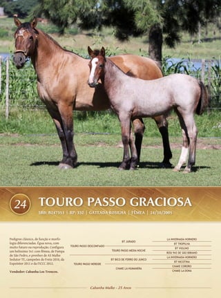 24               TOURO PASSO GRACIOSA
                   SBB: B247353 | RP: 332 | GATEADA ROSILHA | FÊMEA | 24/10/2005




Pedigree clássico, de função e morfo-                                                          LA INVERNADA HORNERO
                                                                          BT JURADO
logia diferenciadas. Égua nova, com                                                                 BT TROPILHA
muito futuro na reprodução. Configura    TOURO PASSO DESCONFIADO
                                                                                                     BT VIOLINO
um belíssimo 3x1 com fêmea, de Pampa                               TOURO PASSO MEDIA NOCHE
                                                                                               ROSI 943 DE SÃO BIBIANO
de São Pedro, e prenhez de AS Malke
                                                                                               LA INVERNADA HORNERO
Sedutor TE, campeões do Freio 2010, da                             BT BICO DE FERRO DO JUNCO
                                                                                                    BT NICOTINA
Expointer 2011 e da FICCC 2012.            TOURO PASSO NEREIDE
                                                                                                   CHAKE CORORO
                                                                      CHAKE LA HUMANERA
Vendedor: Cabanha Los Troncos.                                                                     CHAKE LA DONA




                                                      Cabanha Malke - 25 Anos
 