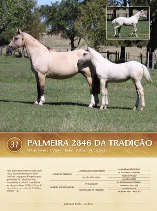 31                PALMEIRA 2846 DA TRADIÇÃO
                    SBB: B186450 | RP: 2846 | BAIA | FÊMEA | 08/02/2002




                                                                                                 LA INVERNADA PASCUERO
Para quem procura tipicidade e selo                               LA INVERNADA ENCOMENDERO II
                                                                                                LA INVERNADA YERBATERA
racial recomendamos esta baia!           JURADO DA TRADIÇÃO
Este lote conjuga os dois principais                                                                ACULEO IMPULSO
                                                                      ACULEO ORGULLOSA
garanhões da Cabanha Malke,                                                                          ACULEO LAMINA
Hospedeiro e Sedutor. Com fêmea                                                                 LA INVERNADA ANIVERSÁRIO
                                                                         BT MARAGATO
ao pé, nascida em 17/11/2012, de BT                                                                MANDINGA ONZA 358
                                       PALMEIRA 816 DA TRADIÇÃO
Hospedeiro e prenhez de AS Malke                                                                    PORÃ ARABERA II
Sedutor-TE.                                                        PALMEIRA 266 DA TRADIÇÃO
                                                                                                PALMEIRA 94 DA TRADIÇÃO




                                                    Cabanha Malke - 25 Anos
 
