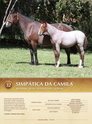 32               SIMPÁTICA DA CAMILA
                   SBB: B192088 | RP: 159 | ROSILHA | FÊMEA | 09/09/2001




Uma das mais importantes ofertas
                                                                                                 NOBRE TUPAMBAÉ
deste leilão! Genética premiada em                              RICO RACO TUPAMBAÉ
                                                                                                 MANCHA TUPAMBAÉ
morfologia e função. Irmã materna       SENDERO DA CAMILA
do Bocal de Prata, Guapo da Camila, e                                                         MAÑANERO COPUCHENTO
                                                            PRETENCIOSA 1509 DA TRADIÇÃO
paterna do Res. Grande Campeão da                                                          PRETENCIOSA DE SANTA ANGÉLICA
Expointer, General II da Camila. Com                                                           PUCHAURA ESQUINAZO
                                                               SANTA ELBA COMEDIANTE
macho ao pé de BT Lucero e prenhez de                                                            SANTA ELBA ZARCA
                                          BUTIÁ JACIARA
BT Haragano.                                                                                       BUTIÁ ARUNCO
                                                                   BUTIÁ ETIQUETA
                                                                                                   BT MORCILHA
Vendedor: Cabanha Santa Camila.



                                                  Cabanha Malke - 25 Anos
 