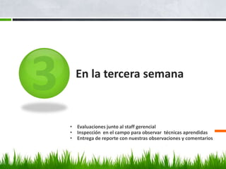 En la tercera semana



• Evaluaciones junto al staff gerencial
• Inspección en el campo para observar técnicas aprendidas
• Entrega de reporte con nuestras observaciones y comentarios
 