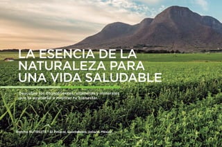 18
Una tableta al día.
No. de Artículo 106539
Cont. 30 Tabletas
No. de Artículo 106540
Cont. 60 Tabletas
23.900$
39.900$
Aporta 10 vitaminas y 2 minerales.
Excelente Suplemento Dietario para
complementar tu alimentación diaria.
CUIDA TU BIENESTAR
DIARIAMENTE
Daily Multivitamínico
Registro Sanitario: SD2008-0000755
A
B
 