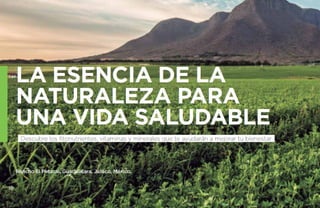 Catalogo amway 2014