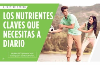 Catalogo amway 2014
