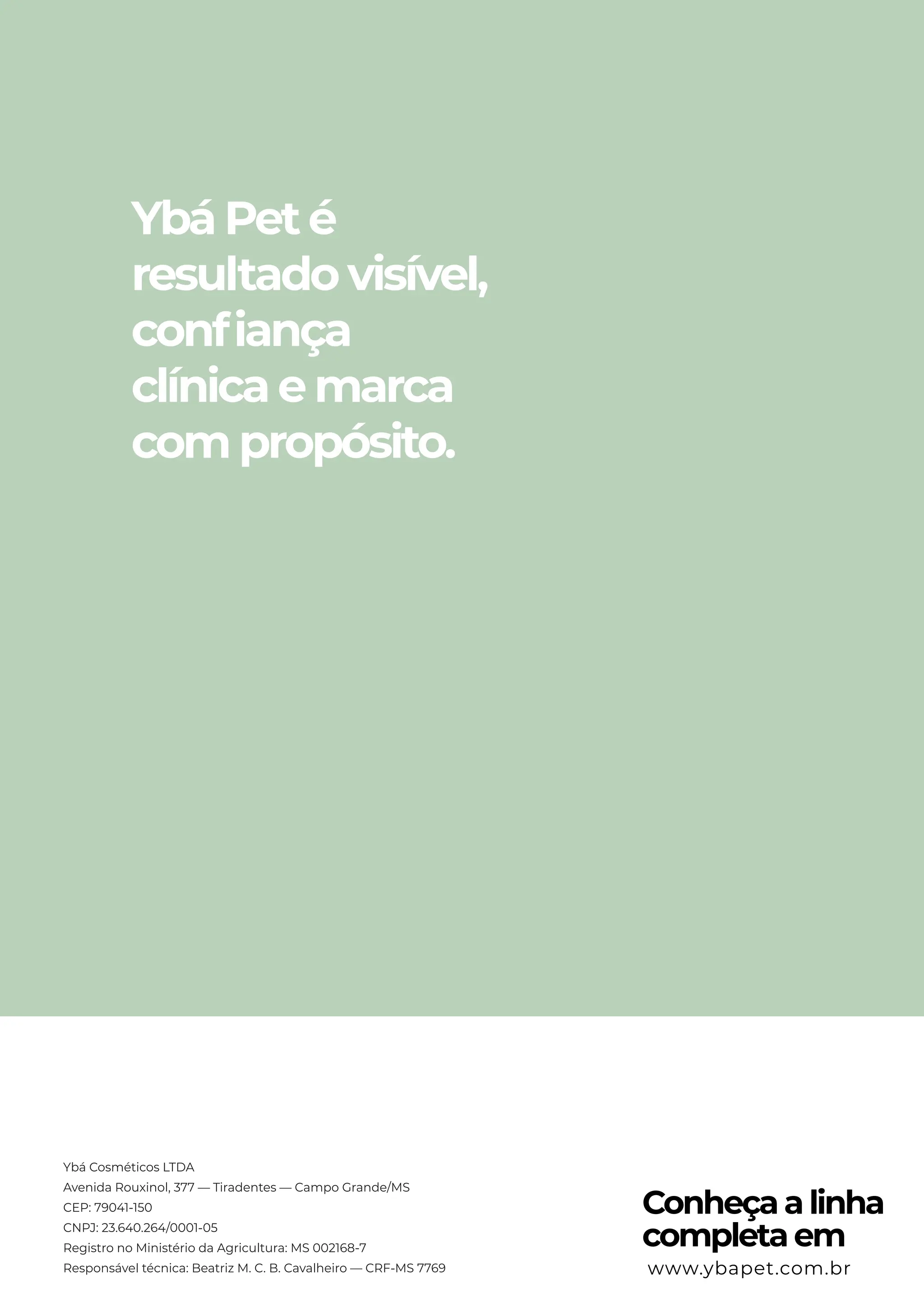 Slide 8
