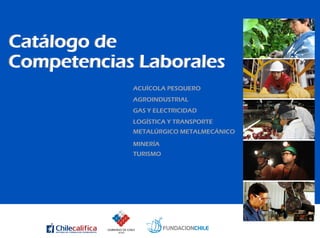 Catálogo de Competencias Laborales