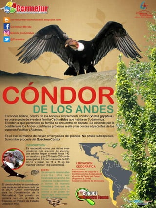 EL CÓNDOR VUELVE A CASA