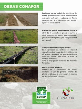 Bordos en curvas a nivel. Es un sistema de
bordos que se conforma con el producto de la
excavación del suelo o subsuelo, de forma
perpendicular a la pendiente del terreno,
siguiendo curvas a nivel.
Barreras de piedra acomodada en curvas a
nivel. Es el acomodo de piedra en curvas a
nivel, formando una barrera o pequeño muro,
gran durabilidad pero sujeto a disponibilidad
de material.
OBRAS CONAFOR
Acomodo de material vegetal muerto
Es la formación de cordones de material
vegetal muerto a curvas de nivel existente en
el terreno, resultante de aprovechamientos
forestales, podas, preaclareos, aclareos o
material incendiado.
evita la propagación acelerada de incendios
forestales.
Presas filtrantes de gavión
Consiste en la construcción de presas
mediante el uso de gaviones rellenos de
piedra en cárcavas o arroyos, con el objetivo
de retener los escurrimientos.
 