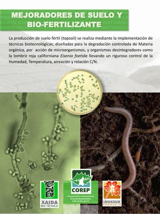 MEJORADORES DE SUELO Y
BIO-FERTILIZANTE
La producción de suelo fértil (topsoil) se realiza mediante la implementación de
técnicas biotecnológicas, diseñadas para la degradación controlada de Materia
orgánica, por acción de microorganismos, y organismos desintegradores como
la lombriz roja californiana Eisenia foetida llevando un riguroso control de la
Humedad, Temperatura, aireación y relación C/N.
 