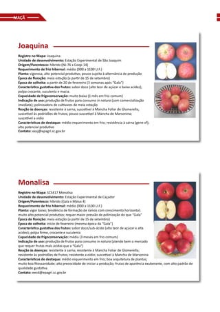 MAÇÃ
Joaquina
Registro no Mapa: Joaquina
Unidade de desenvolvimento: Estação Experimental de São Joaquim
Origem/Parentesco: híbrido (NJ-76 x Coop-14)
Requerimento de frio hibernal: médio (900 a 1100 U.F.)
Planta: vigorosa, alto potencial produtivo, pouco sujeita à alternância de produção
Época de floração: meia estação (a partir de 15 de setembro)
Época de colheita: a partir de 20 de fevereiro (3 semanas após “Gala”)
Característica gustativa dos frutos: sabor doce (alto teor de açúcar e baixa acidez);
polpa crocante, suculenta e macia.
Capacidade de frigoconservação: muito baixa (1 mês em frio comum)
Indicação de uso: produção de frutos para consumo in natura (com comercialização
imediata); polinizadora de cultivares de meia estação
Reação às doenças: resistente à sarna; suscetível à Mancha Foliar de Glomerella;
suscetível às podridões de frutos; pouco suscetível à Mancha de Marsonina;
suscetível a oídio
Características de destaque: médio requerimento em frio; resistência à sarna (gene vf);
alto potencial produtivo
Contato: eesj@epagri.sc.gov.br
Monalisa
Registro no Mapa: SCS417 Monalisa
Unidade de desenvolvimento: Estação Experimental de Caçador
Origem/Parentesco: híbrido (Gala x Malus 4)
Requerimento de frio hibernal: médio (900 a 1100 U.F.)
Planta: vigor baixo; tendência de formação de ramos com crescimento horizontal;
muito alto potencial produtivo; requer maior pressão de polinização do que “Gala”
Época de floração: meia estação (a partir de 15 de setembro)
Época de colheita: início de fevereiro (mesma época da “Gala”)
Característica gustativa dos frutos: sabor doce/sub-ácido (alto teor de açúcar e alta
acidez); polpa firme, crocante e suculenta
Capacidade de frigoconservação: média (3 meses em frio comum)
Indicação de uso: produção de frutos para consumo in natura (atende bem o mercado
que requer frutas mais ácidas que a “Gala”)
Reação às doenças: resistente à sarna; resistente à Mancha Foliar de Glomerella;
resistente às podridões de frutos; resistente a oídio; suscetível à Mancha de Marsonina
Características de destaque: médio requerimento em frio; boa arquitetura de plantas;
muito boa fitossanidade; alta precocidade de iniciar a produção; frutas de aparência exuberante, com alto padrão de
qualidade gustativa
Contato: eecd@epagri.sc.gov.br
 