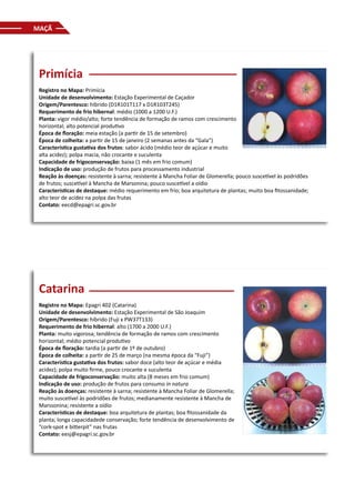 MAÇÃ
Primícia
Registro no Mapa: Primícia
Unidade de desenvolvimento: Estação Experimental de Caçador
Origem/Parentesco: híbrido (D1R101T117 x D1R103T245)
Requerimento de frio hibernal: médio (1000 a 1200 U.F.)
Planta: vigor médio/alto; forte tendência de formação de ramos com crescimento
horizontal; alto potencial produtivo
Época de floração: meia estação (a partir de 15 de setembro)
Época de colheita: a partir de 15 de janeiro (2 semanas antes da “Gala”)
Característica gustativa dos frutos: sabor ácido (médio teor de açúcar e muito
alta acidez); polpa macia, não crocante e suculenta
Capacidade de frigoconservação: baixa (1 mês em frio comum)
Indicação de uso: produção de frutos para processamento industrial
Reação às doenças: resistente à sarna; resistente à Mancha Foliar de Glomerella; pouco suscetível às podridões
de frutos; suscetível à Mancha de Marsonina; pouco suscetível a oídio
Características de destaque: médio requerimento em frio; boa arquitetura de plantas; muito boa fitossanidade;
alto teor de acidez na polpa das frutas
Contato: eecd@epagri.sc.gov.br
Catarina
Registro no Mapa: Epagri 402 (Catarina)
Unidade de desenvolvimento: Estação Experimental de São Joaquim
Origem/Parentesco: híbrido (Fuji x PW37T133)
Requerimento de frio hibernal: alto (1700 a 2000 U.F.)
Planta: muito vigorosa; tendência de formação de ramos com crescimento
horizontal; médio potencial produtivo
Época de floração: tardia (a partir de 1º de outubro)
Época de colheita: a partir de 25 de março (na mesma época da “Fuji”)
Característica gustativa dos frutos: sabor doce (alto teor de açúcar e média
acidez); polpa muito firme, pouco crocante e suculenta
Capacidade de frigoconservação: muito alta (8 meses em frio comum)
Indicação de uso: produção de frutos para consumo in natura
Reação às doenças: resistente à sarna; resistente à Mancha Foliar de Glomerella;
muito suscetível às podridões de frutos; medianamente resistente à Mancha de
Marssonina; resistente a oídio
Características de destaque: boa arquitetura de plantas; boa fitossanidade da
planta; longa capacidadede conservação; forte tendência de desenvolvimento de
“cork-spot e bitterpit” nas frutas
Contato: eesj@epagri.sc.gov.br
 