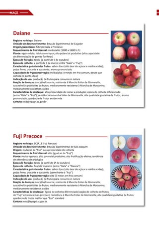 MAÇÃ
Daiane
Registro no Mapa: Daiane
Unidade de desenvolvimento: Estação Experimental de Caçador
Origem/parentesco: híbrido (Gala x Princesa)
Requerimento de frio hibernal: médio/alto (1300 a 1600 U.F.)
Planta: vigor médio; hábito semi-spur; alto potencial produtivo (alta capacidade
de diferenciação de gemas floríferas)
Época de floração: tardia (a partir de 5 de outubro)
Época de colheita: a partir de 5 de março (entre “Gala” e “Fuji”)
Característica gustativa dos frutos: sabor doce (alto teor de açúcar e média acidez);
polpa firme, crocante e suculenta; aroma pronunciado
Capacidade de frigoconservação: média/alta (4 meses em frio comum, desde que
colhida no ponto ideal)
Indicação de uso: produção de frutos para consumo in natura
Reação às doenças: suscetível à sarna; resistente à Mancha Foliar de Glomerella;
suscetível às podridões de frutos; medianamente resistente à Mancha de Marsonina;
medianamente suscetível a oídio
Características de destaque: alta precocidade de iniciar a produção; época de colheita diferenciada
(entre “Gala” e “Fuji”); resistência à mancha foliar de Glomerella; alta qualidade gustativa de frutos; aroma
pronunciado; aparência de frutos exuberante
Contato: ecd@epagri.sc.gov.br
Fuji Precoce
Registro no Mapa: SCS413 (Fuji Precoce)
Unidade de desenvolvimento: Estação Experimental de São Joaquim
Origem: mutação de “Fuji” para precocidade de colheita
Requerimento de frio hibernal: alto (igual ao da “Fuji”)
Planta: muito vigorosa; alto potencial produtivo; alta frutificação efetiva; tendência
de alternância de produção
Época de floração: tardia (a partir de 1º de outubro)
Época de colheita: final de fevereiro (entre “Gala” e “Daiane”)
Característica gustativa dos frutos: sabor doce (alto teor de açúcar e média acidez);
polpa firme, crocante e suculenta (semelhante à “Fuji”)
Capacidade de frigoconservação: alta (6 meses em frio comum)
Indicação de uso: produção de frutos para consumo in natura
Reação às doenças: suscetível à sarna; resistente à Mancha Foliar de Glomerella;
suscetível às podridões de frutos; medianamente resistente à Mancha de Marsonina;
medianamente resistente a oídio
Características de destaque: época de colheita diferenciada (opção de colheita de frutos
de “Fuji” em época mais precoce); resistência à Mancha Foliar de Glomerella; alta qualidade gustativa de frutos;
aparência de frutos melhor que “Fuji” standard
Contato: eesj@epagri.sc.gov.br
 