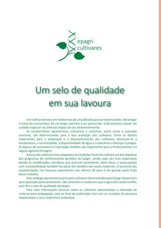 Um selo de qualidade
em sua lavoura
Um cultivar demora em média mais de uma década para ser desenvolvido. Até chegar
à mesa do consumidor, há um longo caminho a ser percorrido. Cada produto requer um
cuidado especial nas diversas etapas de seu desenvolvimento.
As características agronômicas, industriais e culinárias, assim como a avaliação
sensorial, são determinantes para a boa aceitação dos cultivares. Entre os fatores
importantes para a adaptação e o desenvolvimento dos cultivares, destacam-se a
temperatura, a luminosidade, a disponibilidade de água e a tolerância a doenças e pragas.
As épocas de semeadura e maturação também são importantes para o financiamento e o
seguro agrícola (Proagro).
A busca de cultivares mais adaptados às condições locais de cultivo é um dos objetivos
dos programas de melhoramento genético da Epagri, sendo cada vez mais importante
devido às modificações climáticas que ocorrem atualmente. Além disso, a preocupação
com a produtividade também faz parte dos desafios dos novos materiais. O aumento das
produtividades nas lavouras catarinenses nos últimos 30 anos é em grande parte fruto
desse trabalho.
Este catálogo apresenta os principais cultivares desenvolvidos pela Epagri disponíveis
para aquisição pelos produtores. São sementes e mudas em que o agricultor pode confiar,
pois têm o selo de qualidade da Epagri.
Para mais informações técnicas sobre os cultivares apresentados e obtenção do
material para propagação, veja ao final da publicação lista com as unidades de pesquisa
responsáveis e seus respectivos endereços.
 