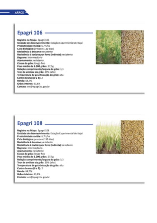ARROZ
Epagri 106
Registro no Mapa: Epagri 106
Unidade de desenvolvimento: Estação Experimental de Itajaí
Produtividade média: 6,7 t/ha
Ciclo biológico: precoce (110 dias)
Resistência à brusone: resistente
Resistência à toxidez por ferro (indireta): resistente
Degrane: intermediário
Acamamento: resistente
Classe do grão: longo-fino
Peso médio de 1.000 grãos: 27,5g
Relação comprimento/largura do grão: 3,3
Teor de amilose do grão: 29% (alto)
Temperatura de gelatinização do grão: alta
Centro branco (0 a 5): 2
Renda: 68,7%
Grãos inteiros: 63,6%
Contato: eei@epagri.sc.gov.br
Epagri 108
Registro no Mapa: Epagri 108
Unidade de desenvolvimento: Estação Experimental de Itajaí
Produtividade média: 6,7 t/ha
Ciclo biológico: precoce (110 dias)
Resistência à brusone: resistente
Resistência à toxidez por ferro (indireta): resistente
Degrane: intermediário
Acamamento: resistente
Classe do grão: longo-fino
Peso médio de 1.000 grãos: 27,5g
Relação comprimento/largura do grão: 3,3
Teor de amilose do grão: 29% (alto)
Temperatura de gelatinização do grão: alta
Centro branco (0 a 5): 2
Renda: 68,7%
Grãos inteiros: 63,6%
Contato: eei@epagri.sc.gov.br
 
